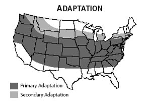 Adaptation map