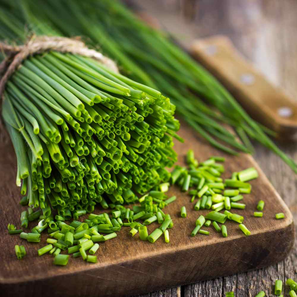 Chives Herb For Cooking 