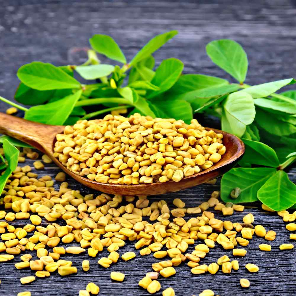 Fenugreek Herb Blossom