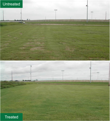 Sports field before and after treatment