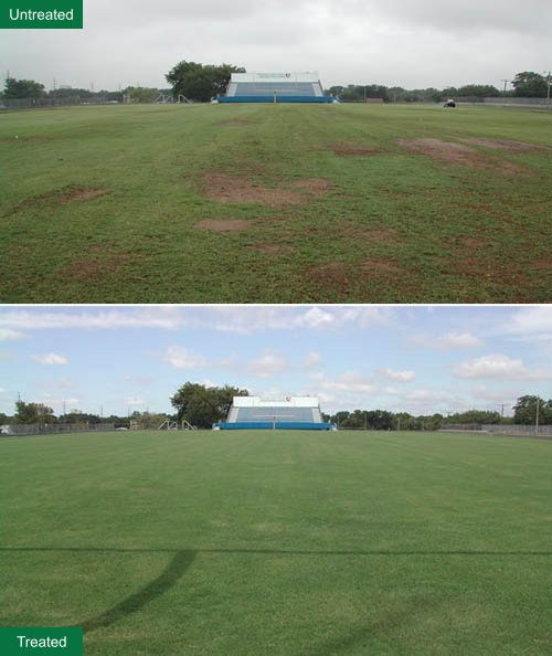 Sports field before and after treatment