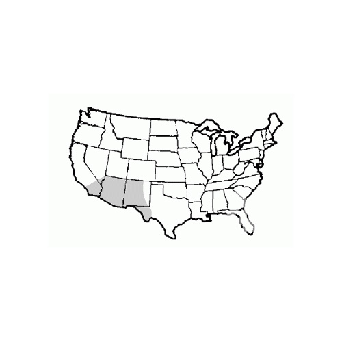 Southwest Native Map