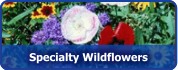 Specialty Wildflower Mixtures