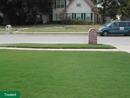 Home lawn grass treatment example