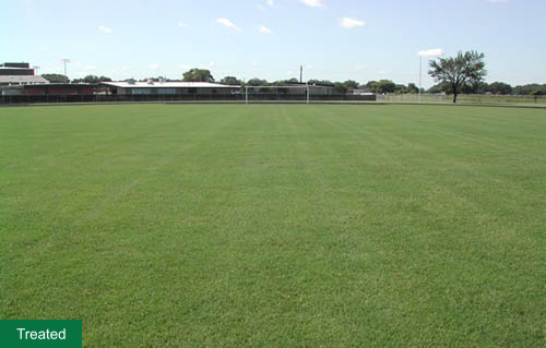 Soccer field grass treatment example